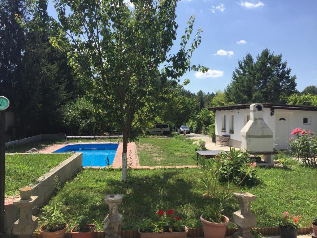 Piknik Studio Fertőrákos Екстериор снимка